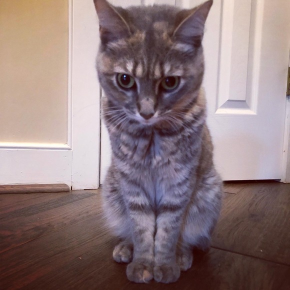 Meet your Posher, Christina - Picture 14 of 16